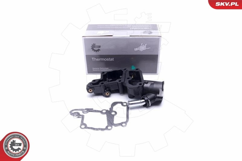 Thermostat, coolant